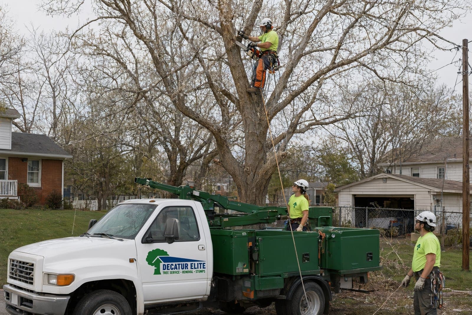 A climber in a saddle and rope cutting a dead branch high in a Decatur back yard tree